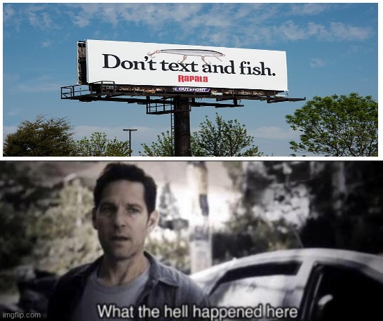 what indeed | image tagged in what the hell happened here | made w/ Imgflip meme maker