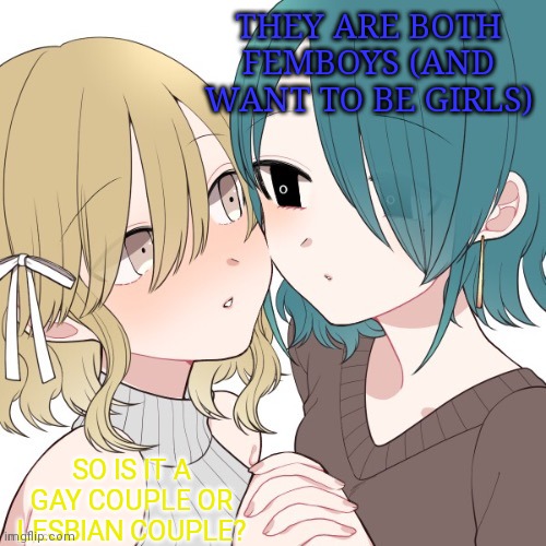 What do you guys think | THEY ARE BOTH FEMBOYS (AND WANT TO BE GIRLS); SO IS IT A GAY COUPLE OR LESBIAN COUPLE? | image tagged in pokette x lee randall | made w/ Imgflip meme maker