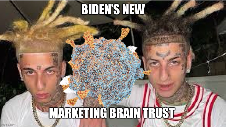 Brain trust | BIDEN’S NEW; MARKETING BRAIN TRUST | image tagged in omicron island boys,biden,bradon,lets | made w/ Imgflip meme maker