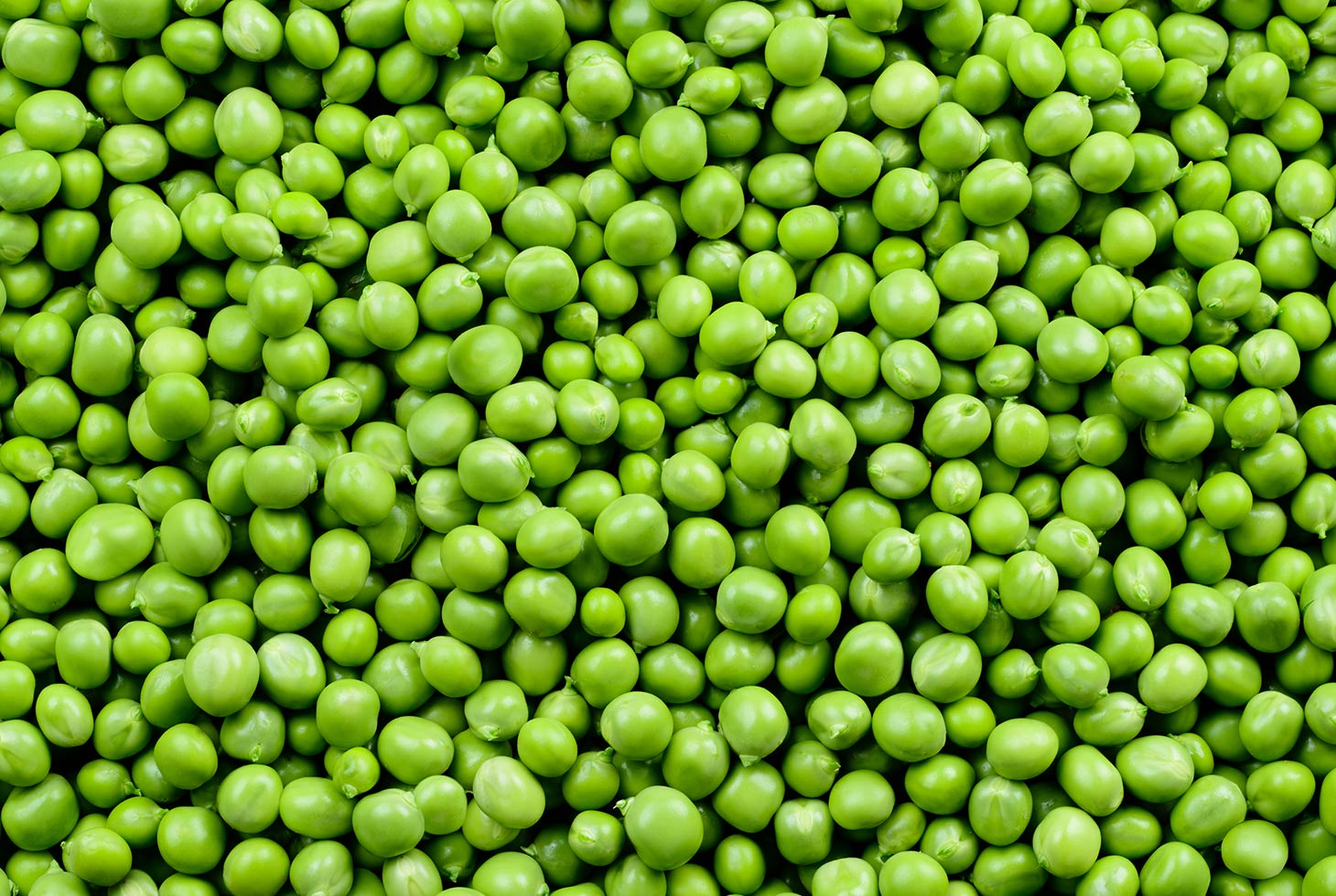 Green Peas Blank Meme Template