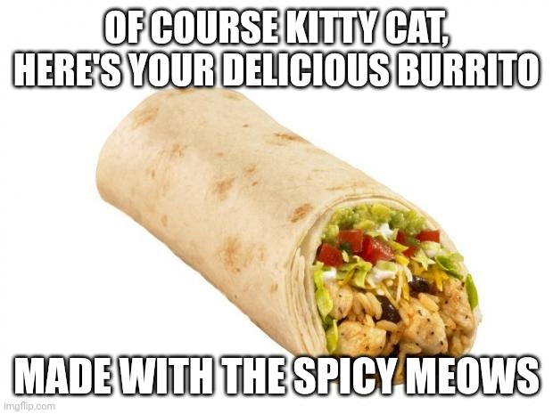 burrito | OF COURSE KITTY CAT, HERE'S YOUR DELICIOUS BURRITO MADE WITH THE SPICY MEOWS | image tagged in burrito | made w/ Imgflip meme maker
