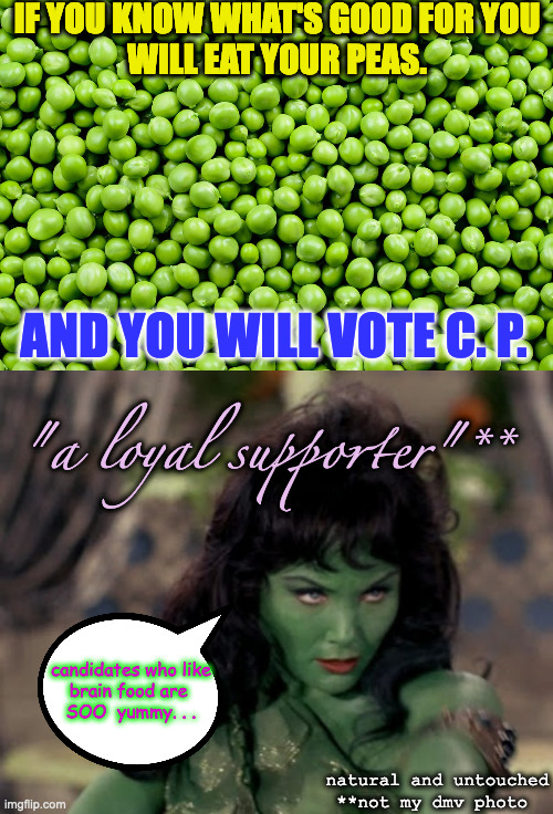 "Peas" Vote Conservative Party | IF YOU KNOW WHAT'S GOOD FOR YOU
WILL EAT YOUR PEAS. AND YOU WILL VOTE C. P. "a loyal supporter"**; candidates who like
brain food are 
SOO  yummy. . . natural and untouched
**not my dmv photo | image tagged in green peas | made w/ Imgflip meme maker