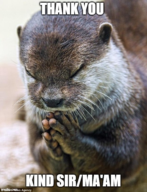 Thank you Lord Otter | THANK YOU KIND SIR/MA'AM | image tagged in thank you lord otter | made w/ Imgflip meme maker