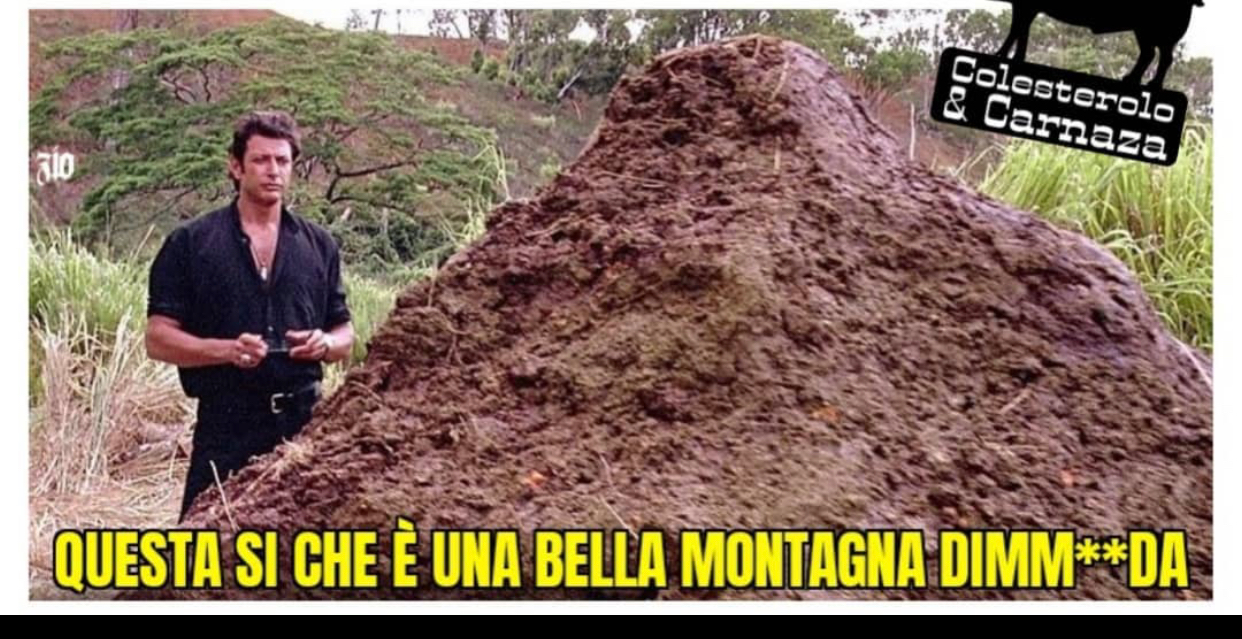 High Quality Questa si che è una bella montagna dimmerds Blank Meme Template