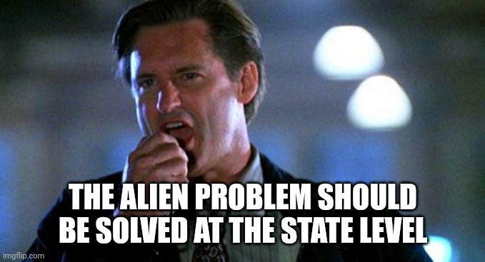 Solved at the state level |  THE ALIEN PROBLEM SHOULD BE SOLVED AT THE STATE LEVEL | image tagged in independence day | made w/ Imgflip meme maker
