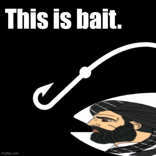 This is bait | image tagged in this is bait | made w/ Imgflip meme maker