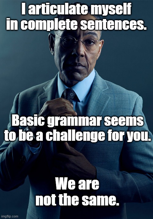 Gus Fring we are not the same | I articulate myself in complete sentences. Basic grammar seems to be a challenge for you. We are not the same. | image tagged in gus fring we are not the same | made w/ Imgflip meme maker