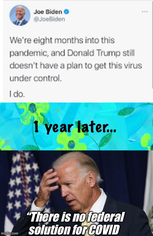 Joe had a plan. | 1 year later... “There is no federal solution for COVID | image tagged in 2 hours later,joe biden worries,memes,politics lol | made w/ Imgflip meme maker