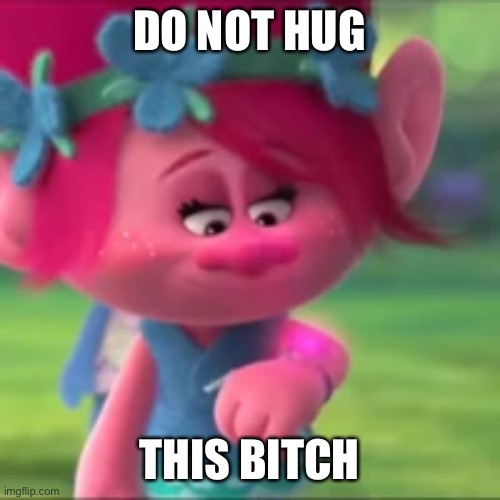 Really, do not | DO NOT HUG; THIS BITCH | image tagged in trolls | made w/ Imgflip meme maker