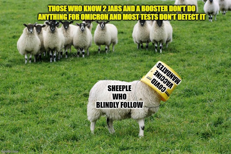 Covid Omicron Mandates, Sheeple, and the Buckets they choose to wear | image tagged in joe biden,omicron,vaccine mandates,sheeple,duped democrats,state sponsored world surplus population reduction | made w/ Imgflip meme maker