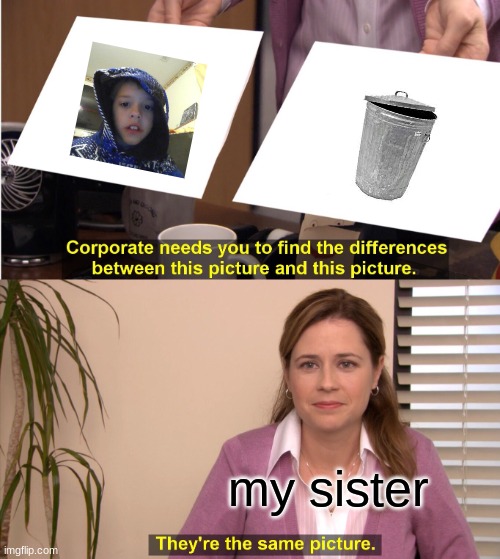 my mean sister (P.S. face reveal.) | my sister | image tagged in memes,they're the same picture | made w/ Imgflip meme maker