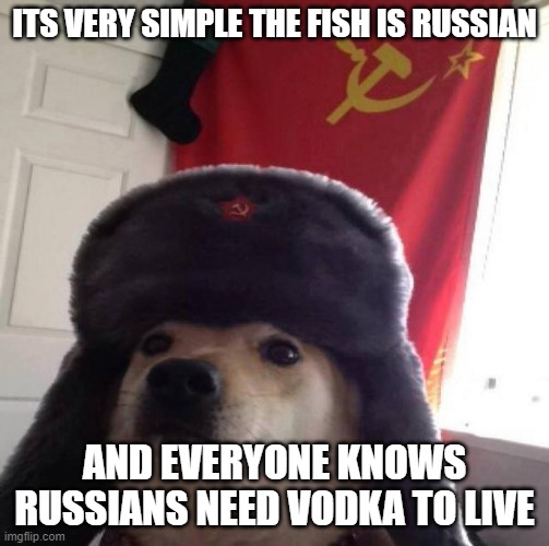 Russian Doge | ITS VERY SIMPLE THE FISH IS RUSSIAN AND EVERYONE KNOWS RUSSIANS NEED VODKA TO LIVE | image tagged in russian doge | made w/ Imgflip meme maker