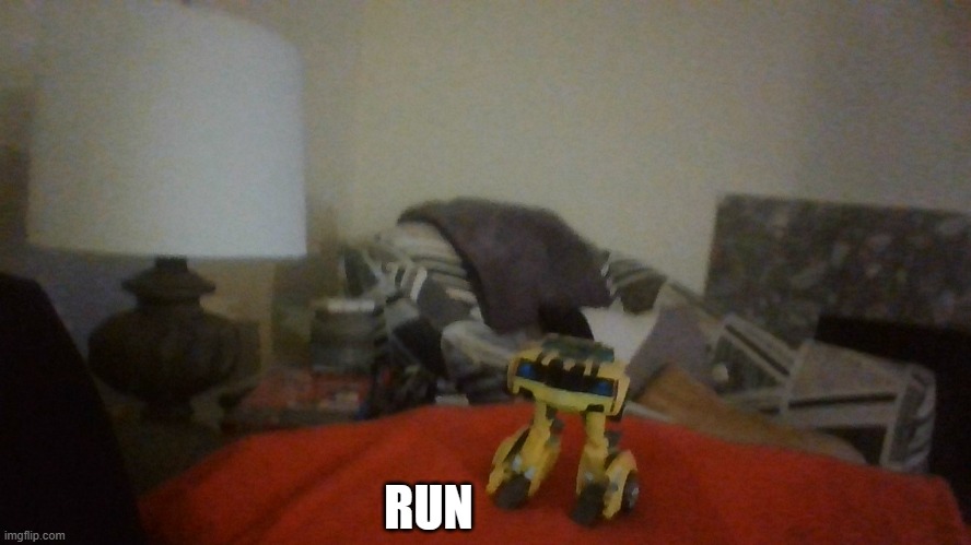 bumblebee | RUN | image tagged in bumblebee | made w/ Imgflip meme maker