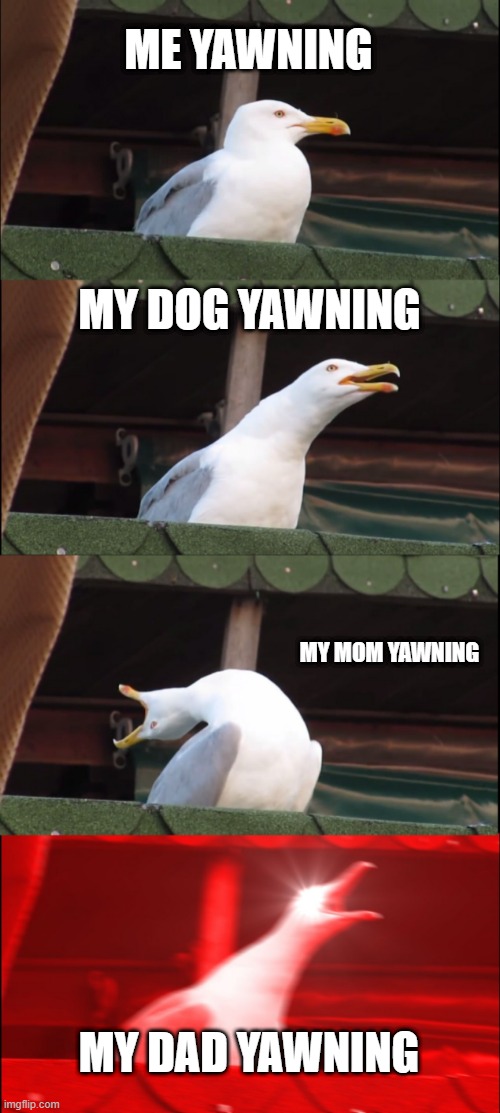 yawn | ME YAWNING; MY DOG YAWNING; MY MOM YAWNING; MY DAD YAWNING | image tagged in memes,inhaling seagull | made w/ Imgflip meme maker