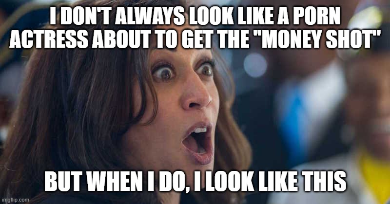 kamala harriss | I DON'T ALWAYS LOOK LIKE A PORN ACTRESS ABOUT TO GET THE "MONEY SHOT" BUT WHEN I DO, I LOOK LIKE THIS | image tagged in kamala harriss | made w/ Imgflip meme maker