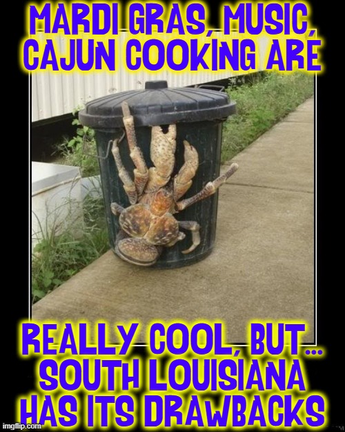 Down in Louisiana, where crawfish grow so mean... | MARDI GRAS, MUSIC,
CAJUN COOKING ARE; REALLY COOL, BUT...
SOUTH LOUISIANA
HAS ITS DRAWBACKS | image tagged in vince vance,louisiana,swamps,cajuns,memes,crawfish | made w/ Imgflip meme maker