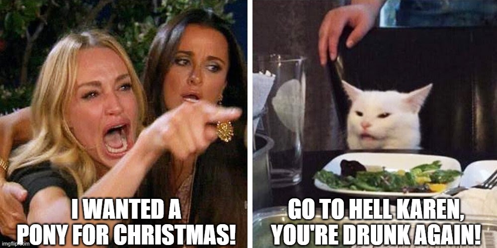 Karen and Smudge are at it Again! | I WANTED A PONY FOR CHRISTMAS! GO TO HELL KAREN, YOU'RE DRUNK AGAIN! | image tagged in smudge the cat,i wanted a pony for christmas,go to hell karen,youre drunk again | made w/ Imgflip meme maker