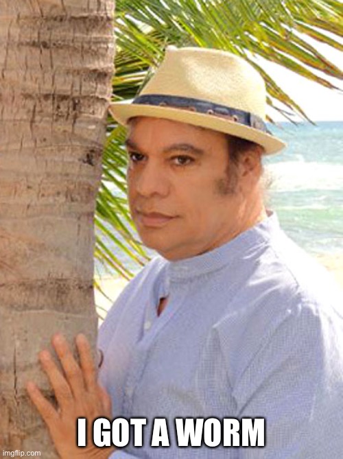 Juan Gabriel Gay | I GOT A WORM | image tagged in juan gabriel gay | made w/ Imgflip meme maker