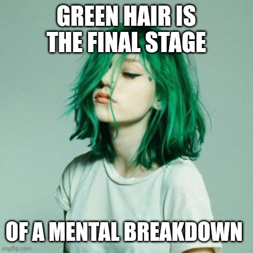 GREEN HAIR IS THE FINAL STAGE; OF A MENTAL BREAKDOWN | image tagged in funny memes | made w/ Imgflip meme maker