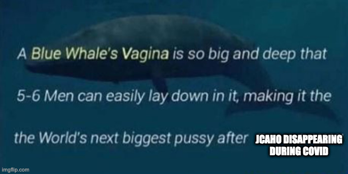 blue whale vagina | JCAHO DISAPPEARING DURING COVID | image tagged in blue whale vagina | made w/ Imgflip meme maker