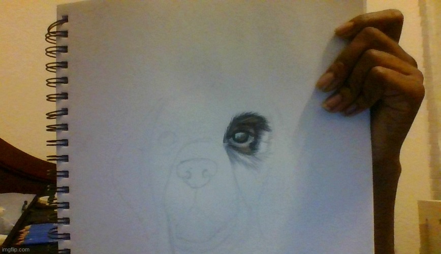 I started a drawing | made w/ Imgflip meme maker