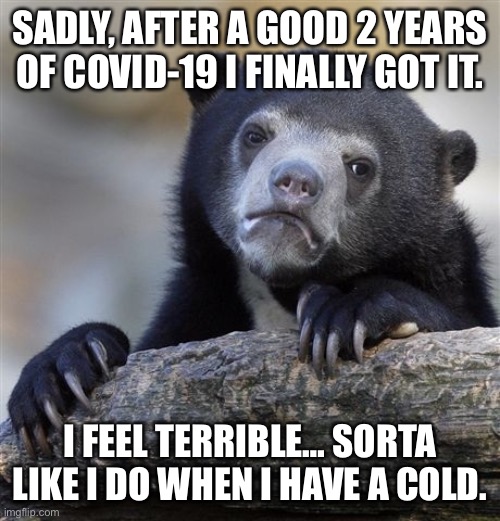 I can’t believe I got it! like seriously I really thought it was just a cold, but I tested positive. | SADLY, AFTER A GOOD 2 YEARS OF COVID-19 I FINALLY GOT IT. I FEEL TERRIBLE… SORTA LIKE I DO WHEN I HAVE A COLD. | image tagged in memes,confession bear | made w/ Imgflip meme maker