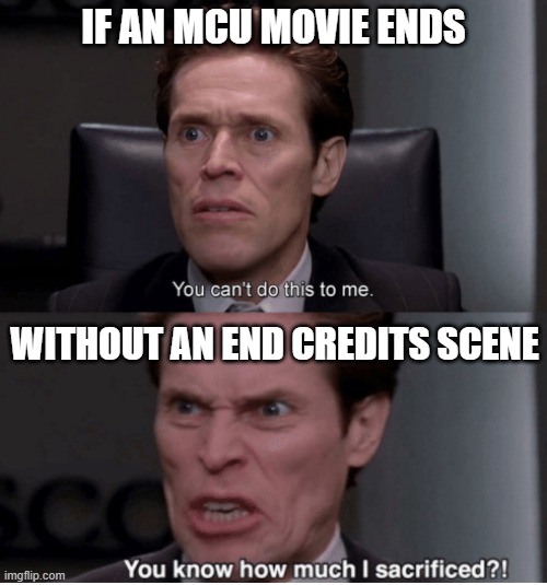 You can't do this to me, you know how much I sacrificed? | IF AN MCU MOVIE ENDS; WITHOUT AN END CREDITS SCENE | image tagged in you can't do this to me you know how much i sacrificed | made w/ Imgflip meme maker