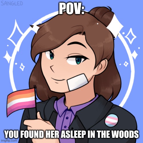 any roleplay EXCEPT romance. enjoy! | POV:; YOU FOUND HER ASLEEP IN THE WOODS | made w/ Imgflip meme maker