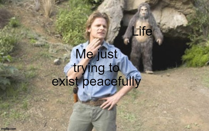 dayum | Life; Me just trying to exist peacefully | image tagged in life | made w/ Imgflip meme maker