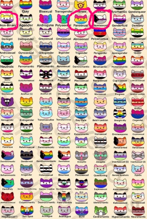 these are the only ones i am i could find in here, they didn't include kittygender and doggender | made w/ Imgflip meme maker