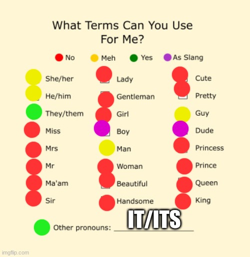 Pronouns Sheet | IT/ITS | image tagged in pronouns sheet | made w/ Imgflip meme maker