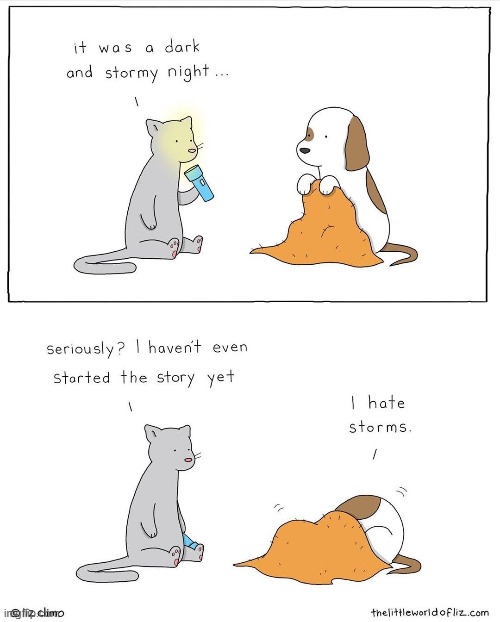 me too kid | image tagged in comics/cartoons,dog,cat,storm | made w/ Imgflip meme maker