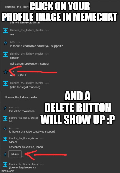CLICK ON YOUR PROFILE IMAGE IN MEMECHAT AND A DELETE BUTTON WILL SHOW UP :P | made w/ Imgflip meme maker