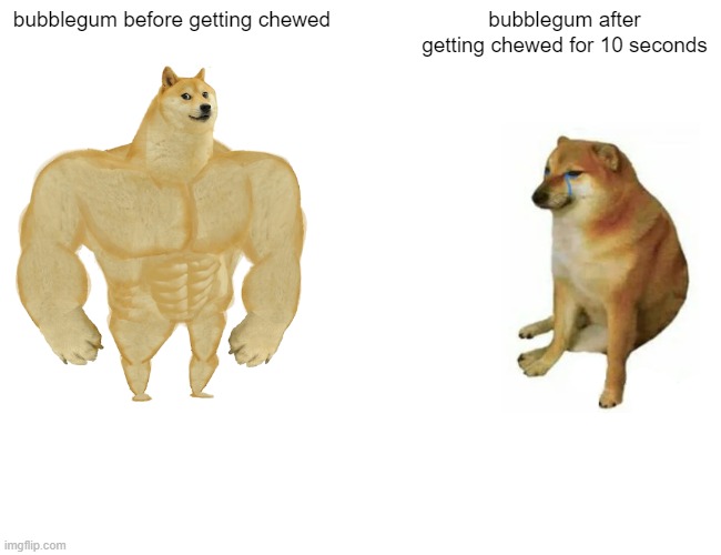 Buff Doge vs. Cheems | bubblegum before getting chewed; bubblegum after getting chewed for 10 seconds | image tagged in memes,buff doge vs cheems | made w/ Imgflip meme maker