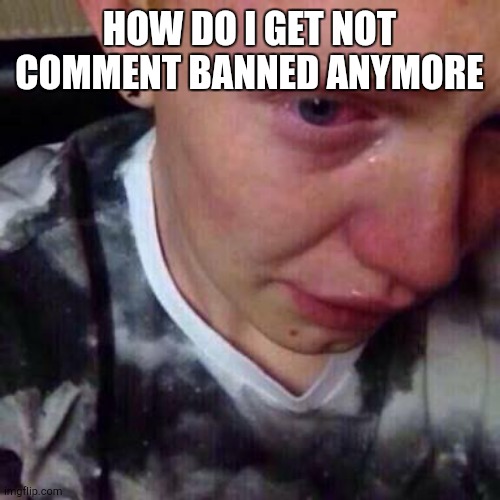 Feel like pure shit | HOW DO I GET NOT COMMENT BANNED ANYMORE | image tagged in feel like pure shit | made w/ Imgflip meme maker