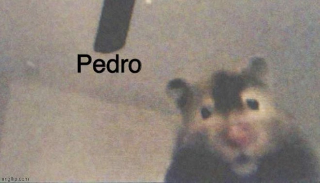 Pedro | image tagged in pedro | made w/ Imgflip meme maker