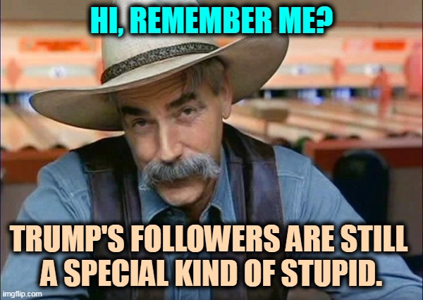 Dumb, dumber, dumbest. In the pluperfect subjunctive, they're still dumb. | HI, REMEMBER ME? TRUMP'S FOLLOWERS ARE STILL 
A SPECIAL KIND OF STUPID. | image tagged in sam elliott special kind of stupid,trump,followers,dumb and dumber,amazing | made w/ Imgflip meme maker