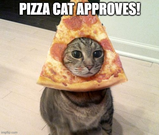 pizza cat | PIZZA CAT APPROVES! | image tagged in pizza cat | made w/ Imgflip meme maker