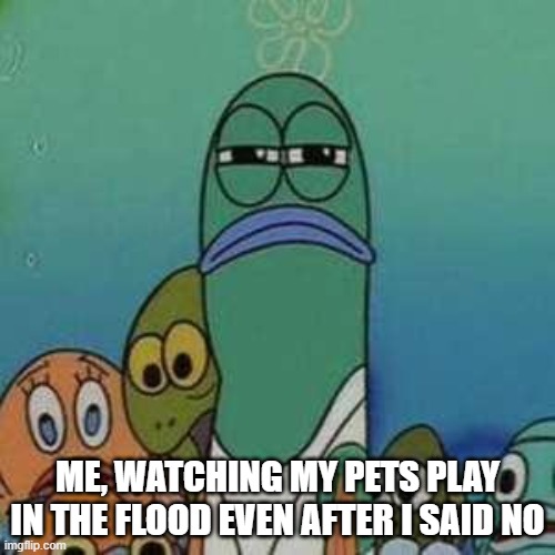 Angry lifeguard | ME, WATCHING MY PETS PLAY IN THE FLOOD EVEN AFTER I SAID NO | image tagged in angry lifeguard | made w/ Imgflip meme maker