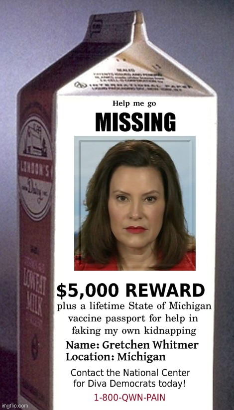 Have you seen this governor? | image tagged in milk carton,missing,michigan,gov gretchen whitmer,kidnapping hoax,parody | made w/ Imgflip meme maker