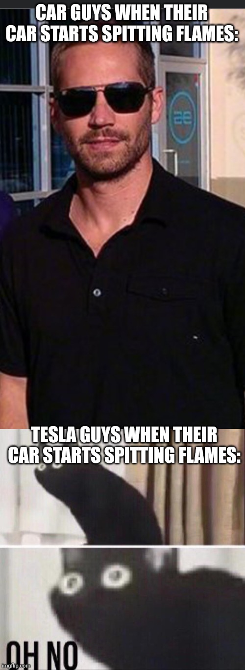 CAR GUYS WHEN THEIR CAR STARTS SPITTING FLAMES:; TESLA GUYS WHEN THEIR CAR STARTS SPITTING FLAMES: | image tagged in oh no cat | made w/ Imgflip meme maker