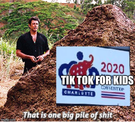 RNC Pile of shi | TIK TOK FOR KIDS | image tagged in rnc pile of shi | made w/ Imgflip meme maker