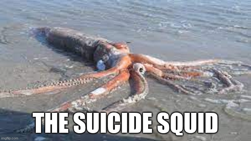 ONE LETTER OFF MOVIES | THE SUICIDE SQUID | image tagged in funny,the suicide squad,reid moore,movies,one letter off movies | made w/ Imgflip meme maker
