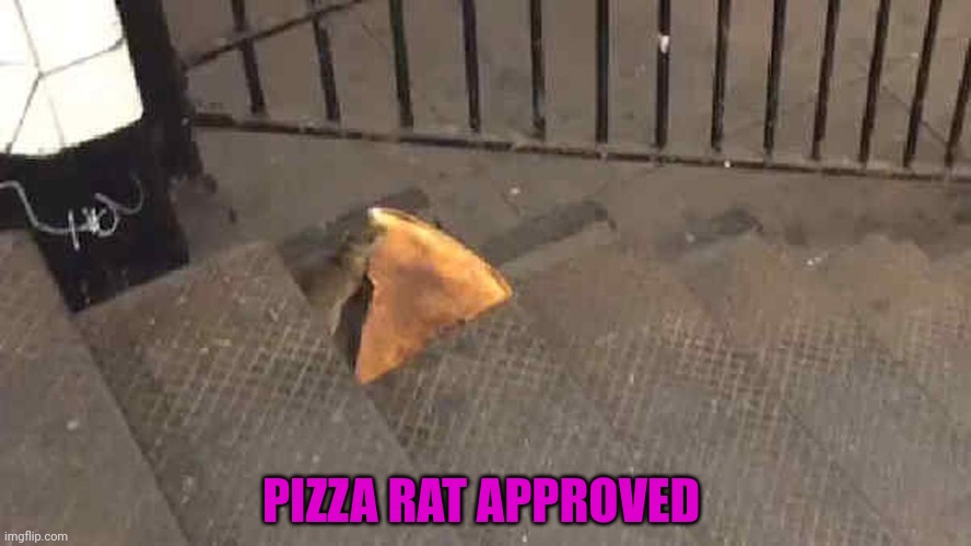 Pizza Rat | PIZZA RAT APPROVED | image tagged in pizza rat | made w/ Imgflip meme maker