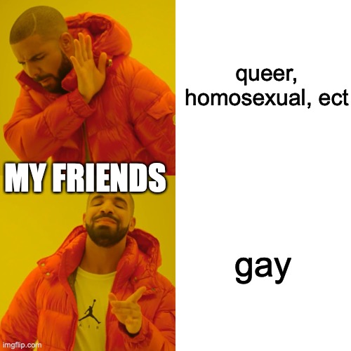 my friends be like: | queer, homosexual, ect; MY FRIENDS; gay | image tagged in memes,drake hotline bling | made w/ Imgflip meme maker