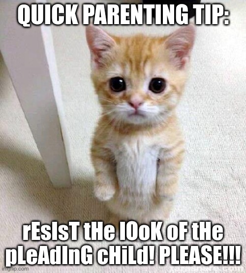 "rEsIsT tHe lOoK oF tHe pLeAdInG cHiLd!" | QUICK PARENTING TIP:; rEsIsT tHe lOoK oF tHe pLeAdInG cHiLd! PLEASE!!! | image tagged in memes,cute cat | made w/ Imgflip meme maker