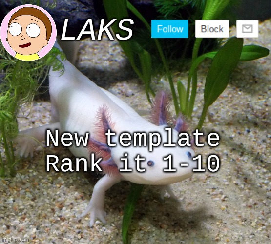 I now have a Profile Pic | New template Rank it 1-10 | image tagged in laks axolotl template | made w/ Imgflip meme maker