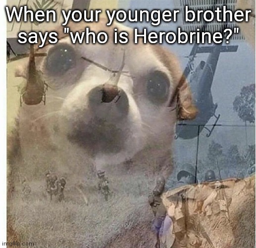 PTSD Chihuahua | When your younger brother says "who is Herobrine?" | image tagged in ptsd chihuahua | made w/ Imgflip meme maker