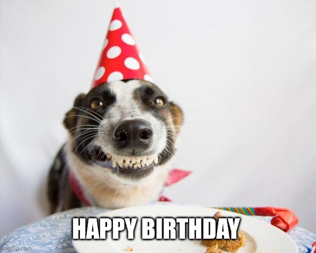 birthday dog | HAPPY BIRTHDAY | image tagged in birthday dog | made w/ Imgflip meme maker