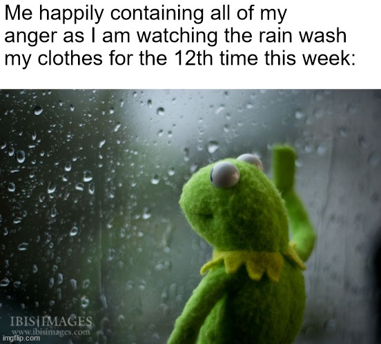 kermit window | Me happily containing all of my anger as I am watching the rain wash my clothes for the 12th time this week: | image tagged in kermit window | made w/ Imgflip meme maker